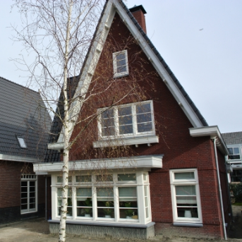 Vrijstaande woningen